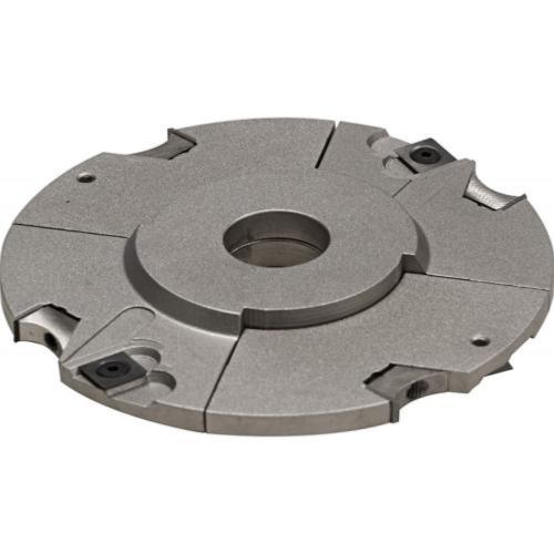 Porte-outils à Rainer LEUT - Extensible de 10 à 40 mm - Diamètre 200 mm - Alésage 30 mm 